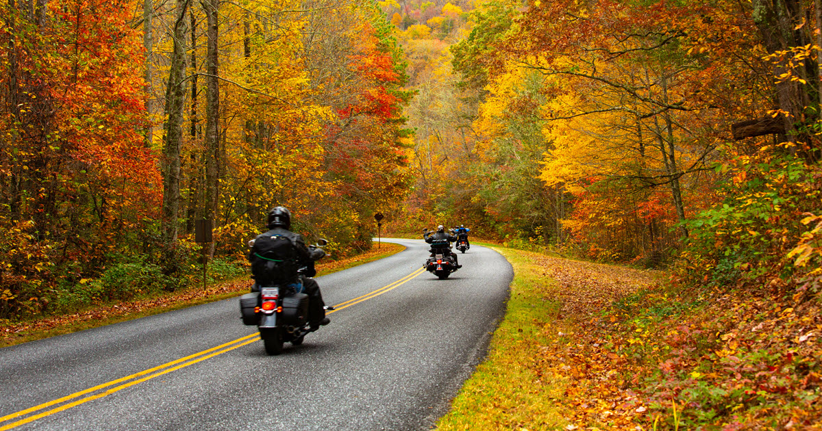 Degrees of Road Rash Injuries Treatment & Healing